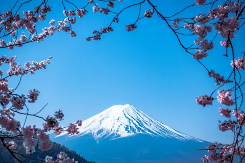 【四十九日】追悼の法要:日本における「忌明け」の節目と儀式の意味