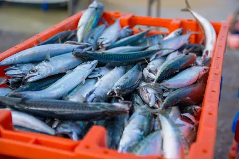 中国、日本水産物の輸入を再び停止