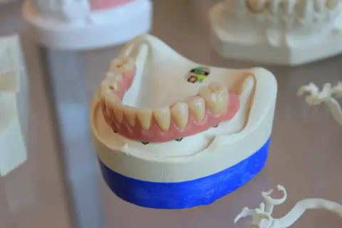 オーラルケアの現場での問いかけ