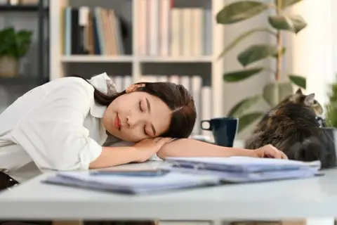 午後の猛烈な眠気は「意志の弱さ」か、それとも身体が発する切実な「SOS」か?